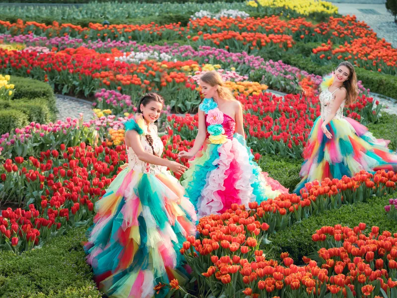 hoa tulip ngap tran sun world ba na hills da nang vintrip.png